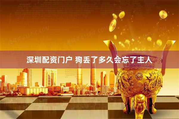 深圳配资门户 狗丢了多久会忘了主人