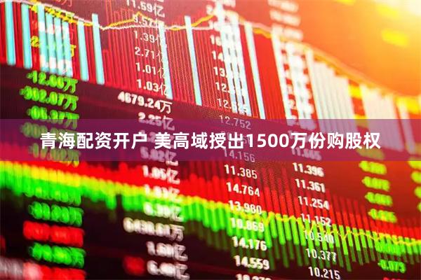 青海配资开户 美高域授出1500万份购股权